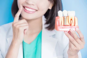 Dentist in La Vergne, TN explaining dental implant model